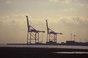 作業現場の熱中症対策に最適！ミストファン導入の効果と選び方